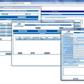 e-puertobilbao data entry forms e-puertobilbao data entry forms